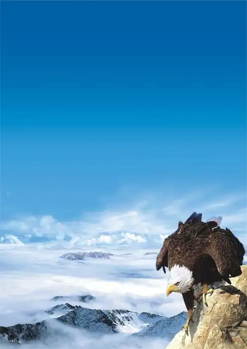 儒房和风光哪个地产好
